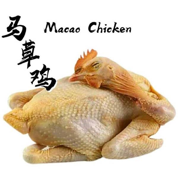 Premium Fresh Free-Range MaCao Chicken 高山马草鸡 (1.6 ~ 1.8kg)